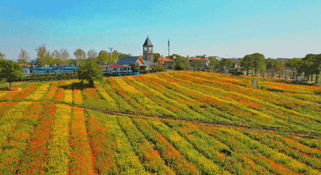 153006lqqe96hq2999czqq.gif