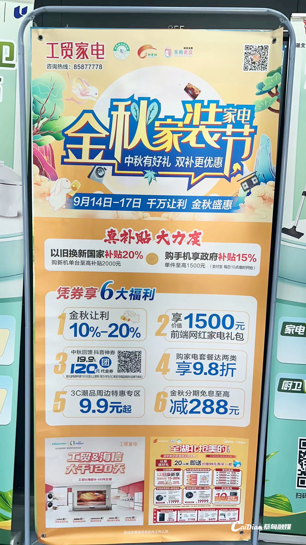 184014mz3i80664e566en6.jpg
