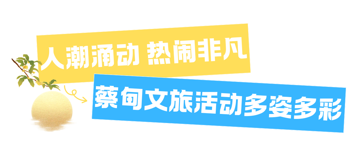 182715xz2fo66onoqqozxf.png