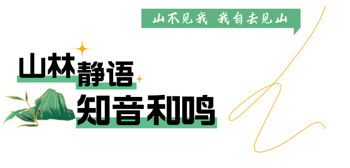102733yuc7vcbu7vddrbzp.png
