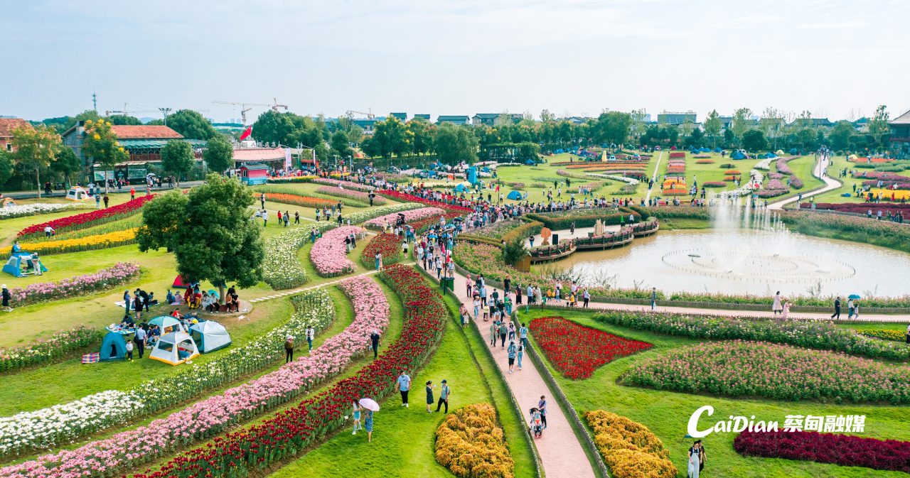 105532ywrwziurrliyssdl.jpg