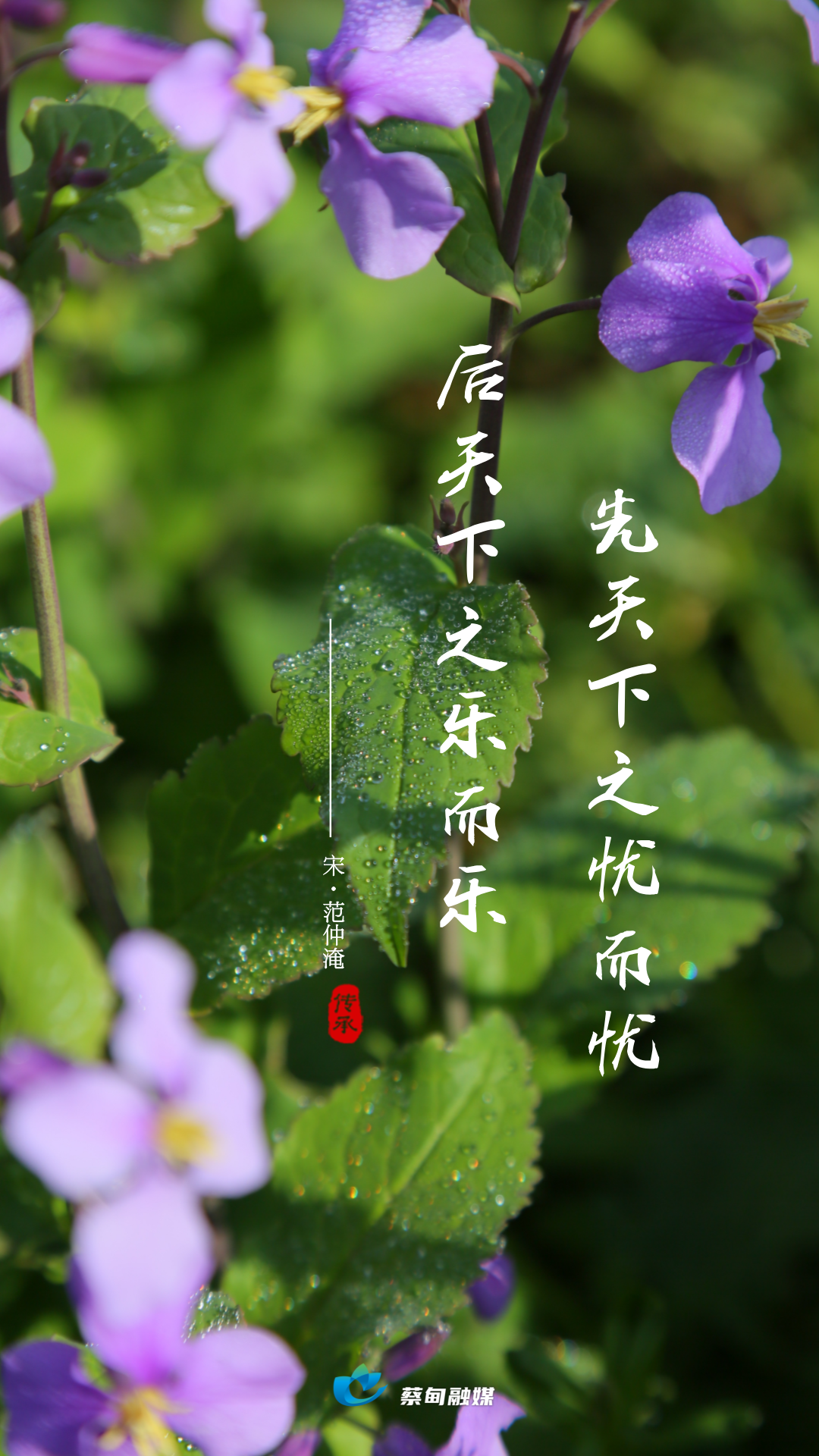 130757qo6qkglhl9c9hzol.png