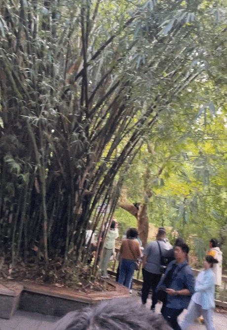 181922wknbekjknpvjzbt4.gif