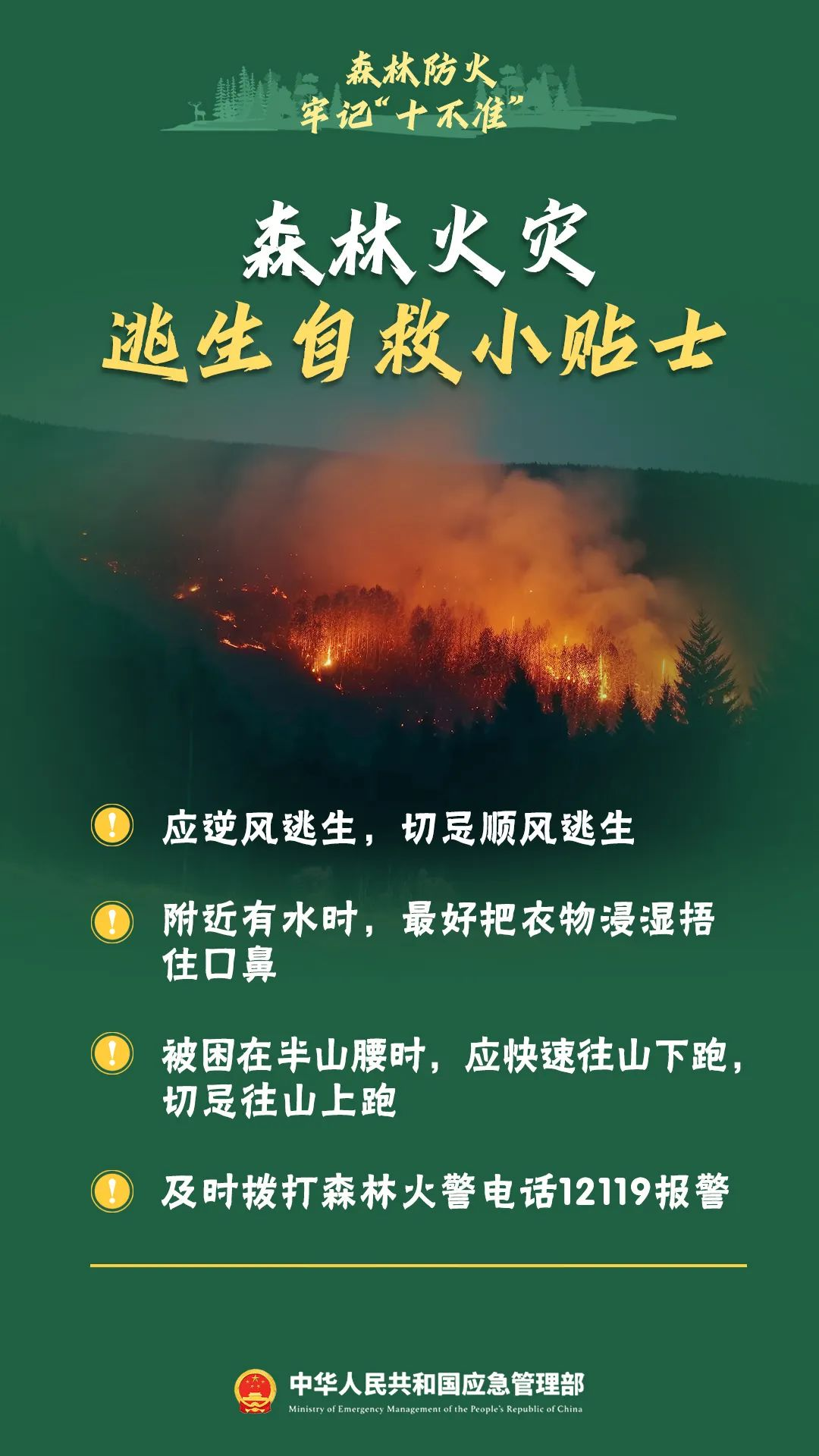 171414cf33w1t1s371thuc.png