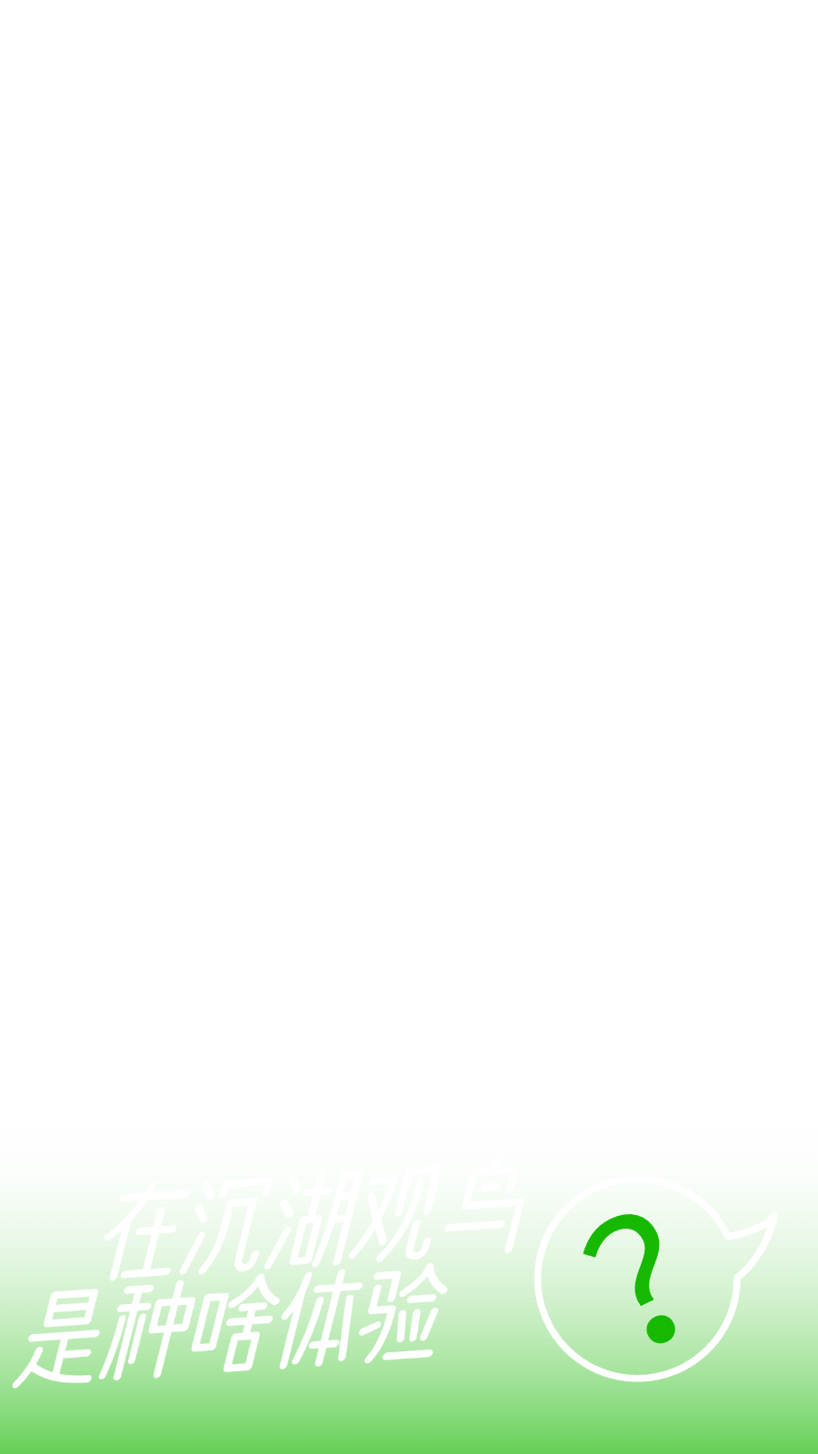 181507sq4blelrtqti1ip1.png