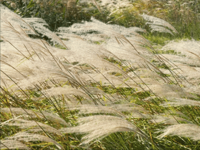 151027q3rxh3eszt6b3o2o.gif