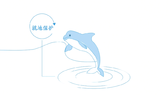 114247vh7a4auuicfqzaoi.gif