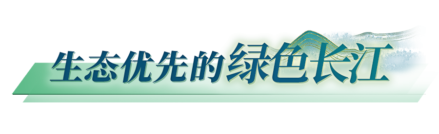 174054sjjo6bkjbqat9rgb.png