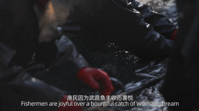 163249mct9t7xx5c9qv9ur.gif