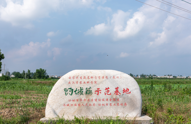 194027jvk62ofo565verkg.png