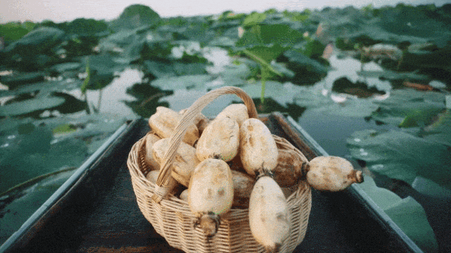 200615juelu11jjttty5ed.gif