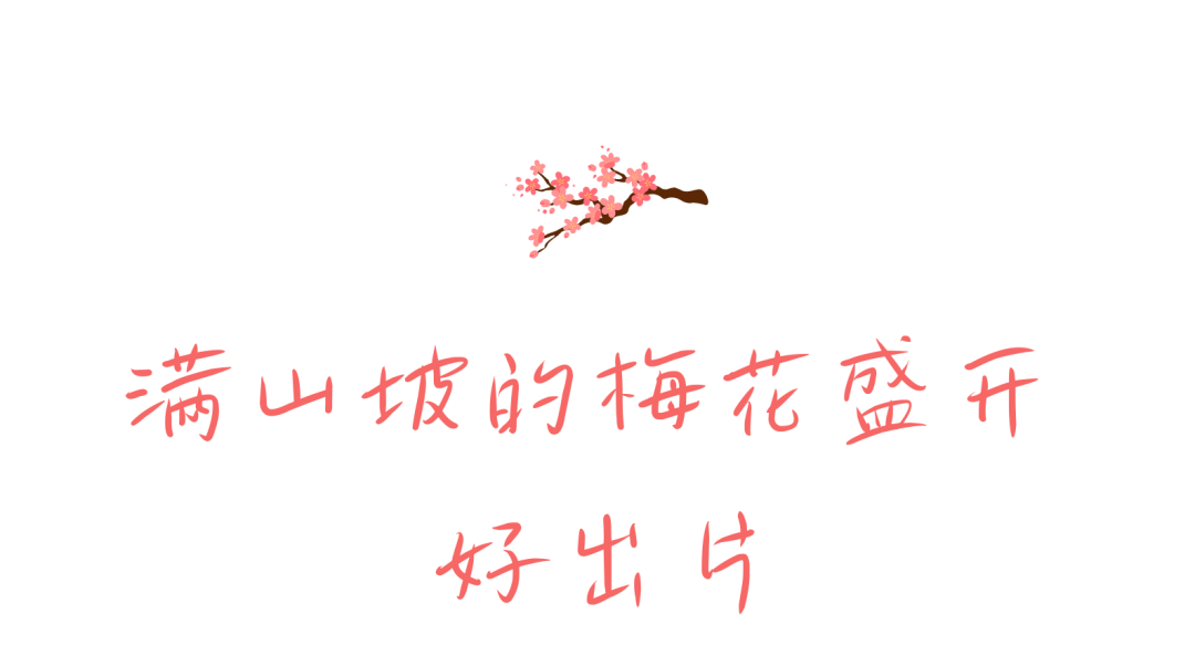 103756rowtwimv4mr4mr4e.png