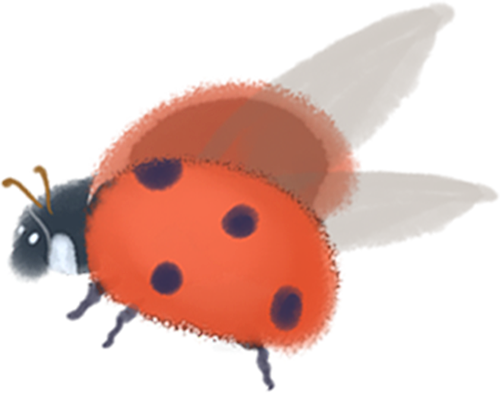 155523r1quuj1s1n1mfz9m.png