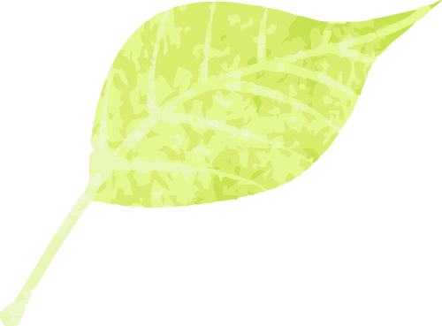 131537r5afg240tzkkhh50.png