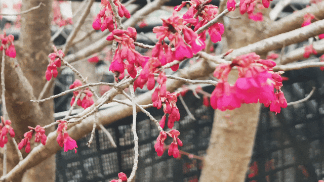 170605rr6vlvx6c222gl86.gif