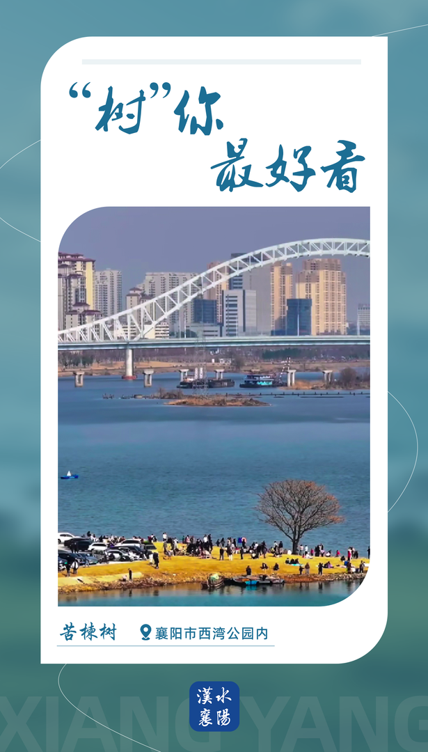 7b1ccb8f-f5a7-4299-afcd-a46a2402c29a-1.png