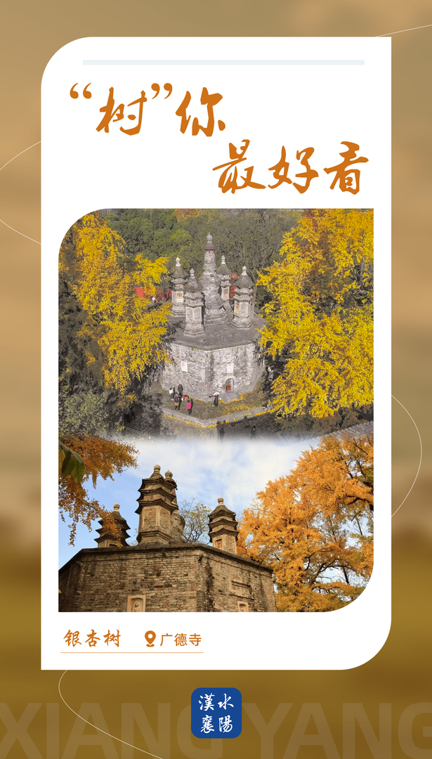 2be3409f-0069-4ec6-b066-aab075469e59-1.png