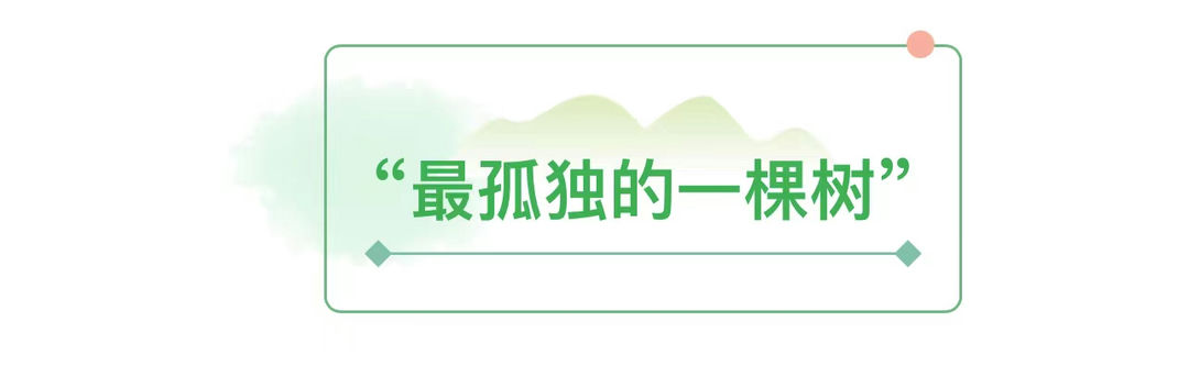aebe3c9f-b9cb-4383-be77-4123e5c699b6-1.jpg