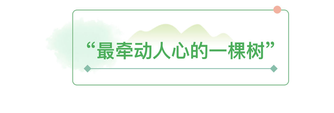 bf8a0da6-b126-4fa8-8334-ccb872d8261a-1.jpg