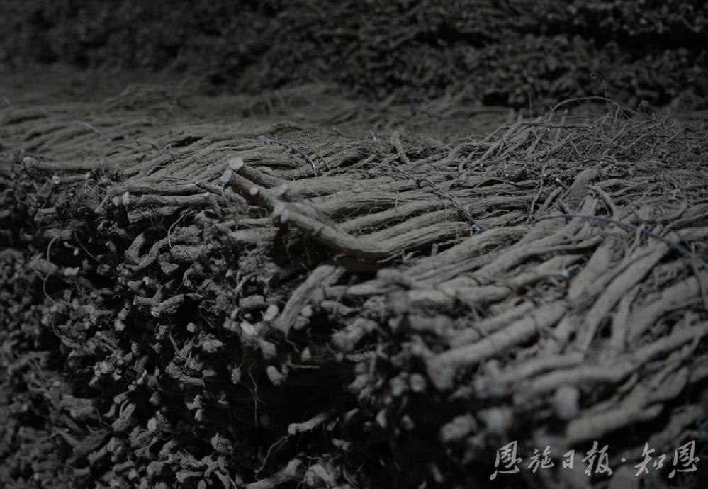 172121hz84lpp9p94p8w8e.jpg