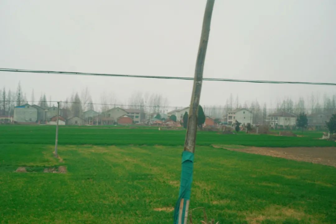 172226nc41dlwd1fnlb3dl.jpeg