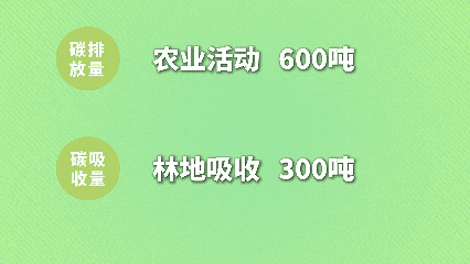 172914g1zd58d6za8ooo1o.gif