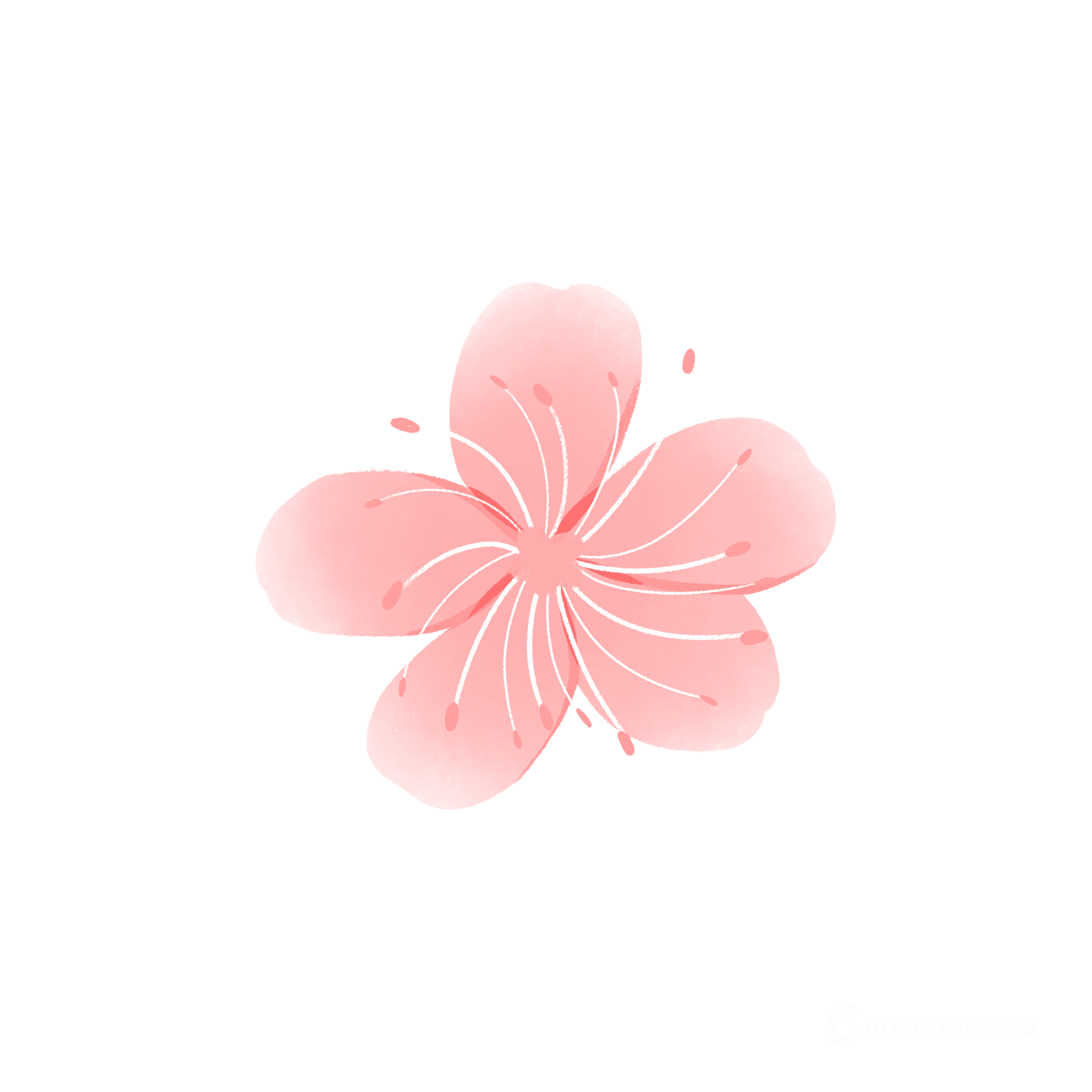 164412lh7unzn0ah85w8qf.png