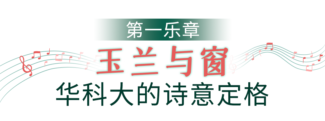 193948l3w330a98b2cwky4.png
