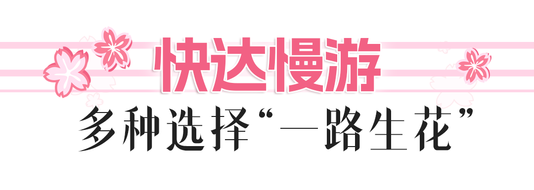 121725f2yycyc82y502y8c.png