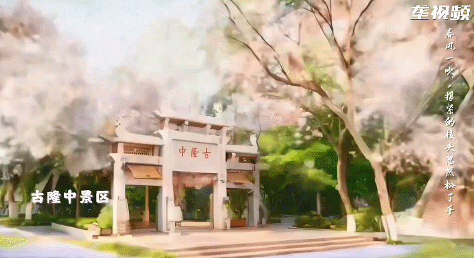 181557n13g3jc5v1bdqg51.gif