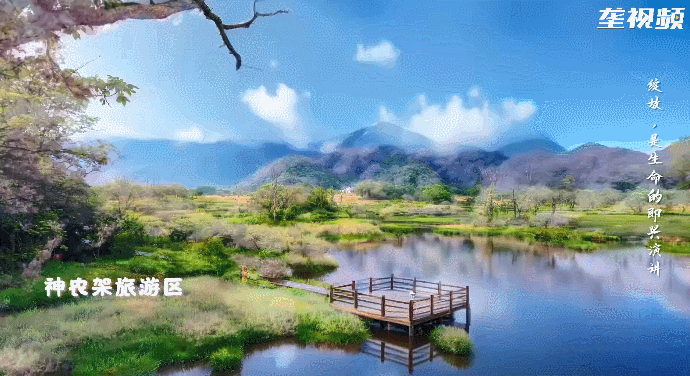 181557w6b6b0yr11nsny1n.gif