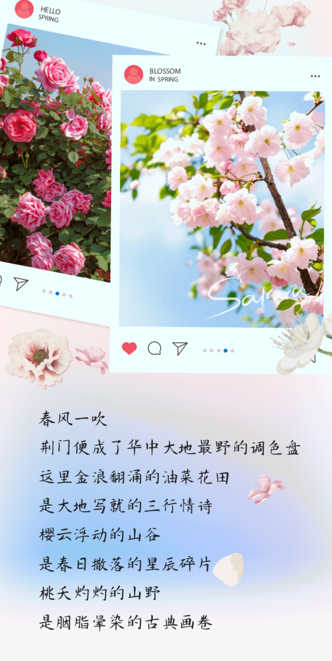 113545pbppvmvzvtftjh4a.png