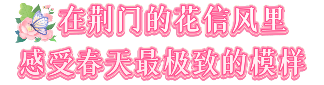 113548oqxo1bu8ooq1zopo.png