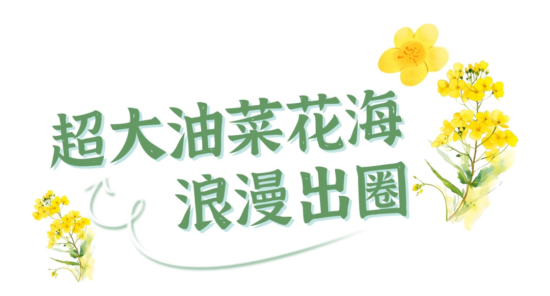 152103mwddnb0irryrti3i.png