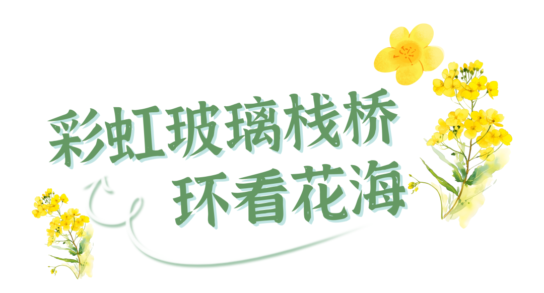 152104jsxe1exfm213p3vz.png