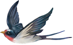 121950n9d6era1coftzs37.png
