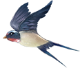 112544y04fo8p5y2o4egq0.png