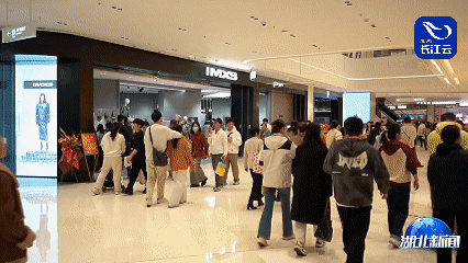 151538ss11amit08it3qfh.gif