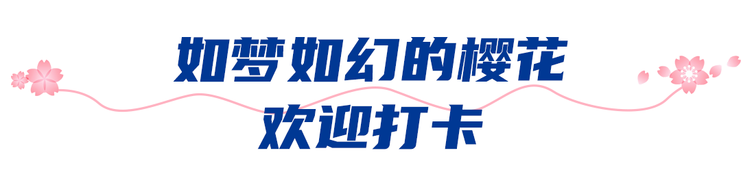 171526jc3u4ee3udeupuus.png