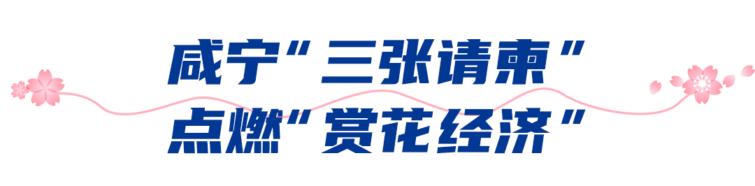 171528xr2cnunbvpcp3svb.png