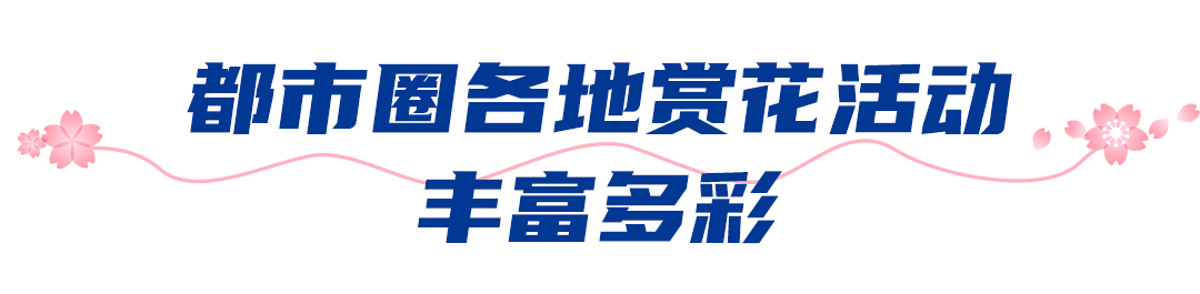 171529uoife9hru9shlhdo.png