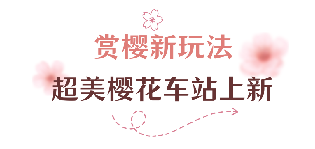 154956chf20yy8i27my2bm.png