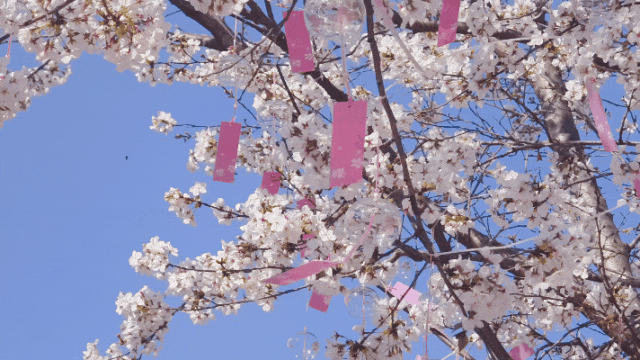 154956e9084uo3qw3yzwm3.gif