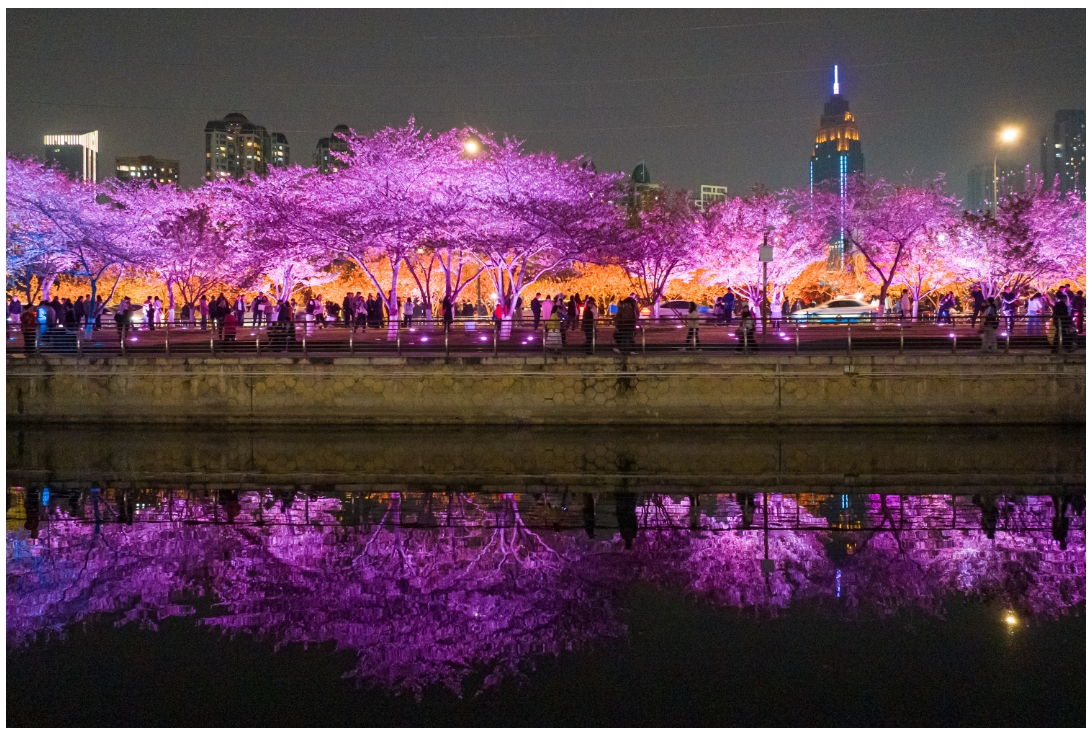 微信截图_20250331125857.png
