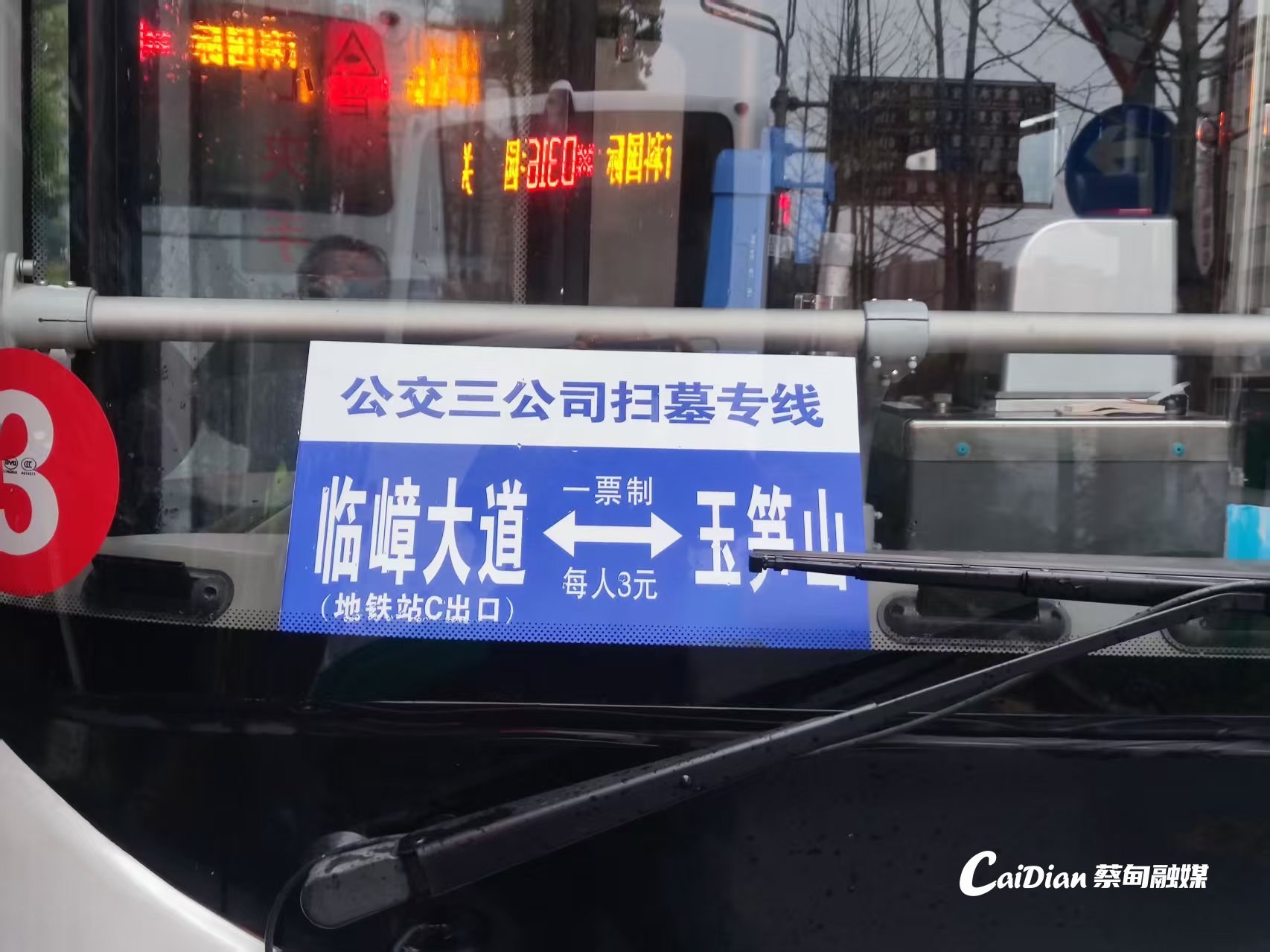 160236cl2p2td6u2wmpbdt.jpg