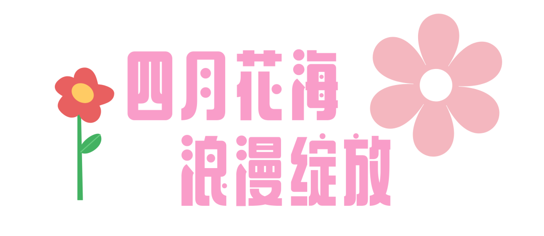 194426zw0100ttqmamlklb.png