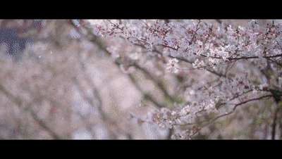 cdee5b802454e3728e64b16fc67cb75f.gif