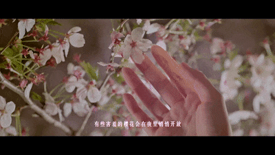 fc5b038af4ec16945220b91d9efac016.gif