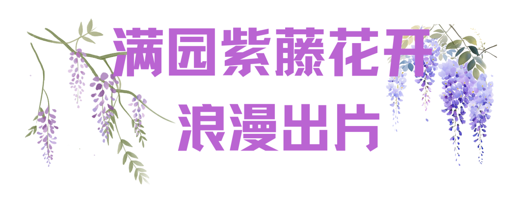 164048thf31uisfsufsfsu.png