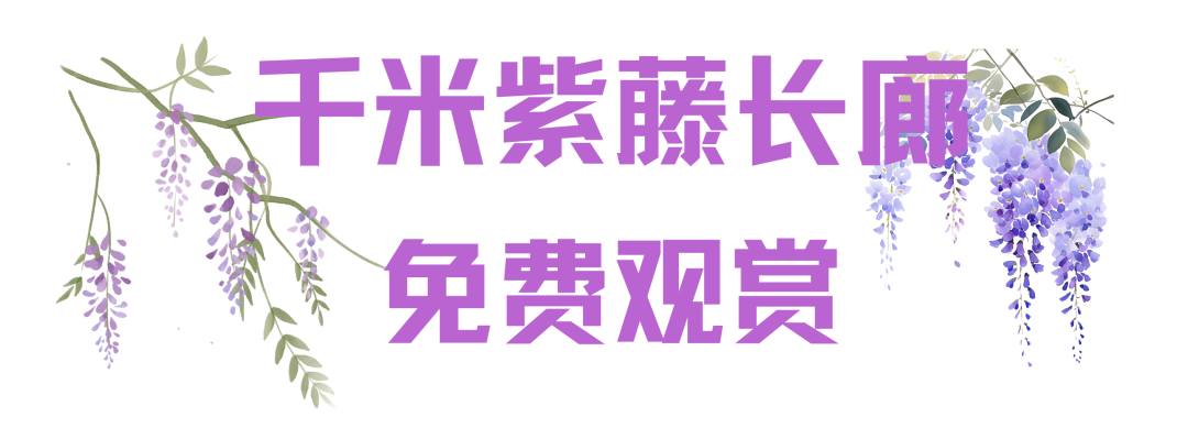 164049xla8x8jjqfxl8qab.png